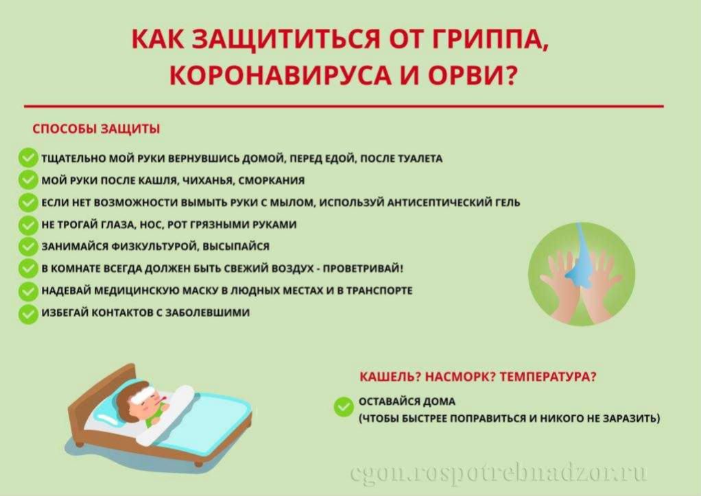 Изображения столовой.
