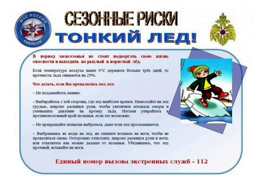 Изображения столовой.