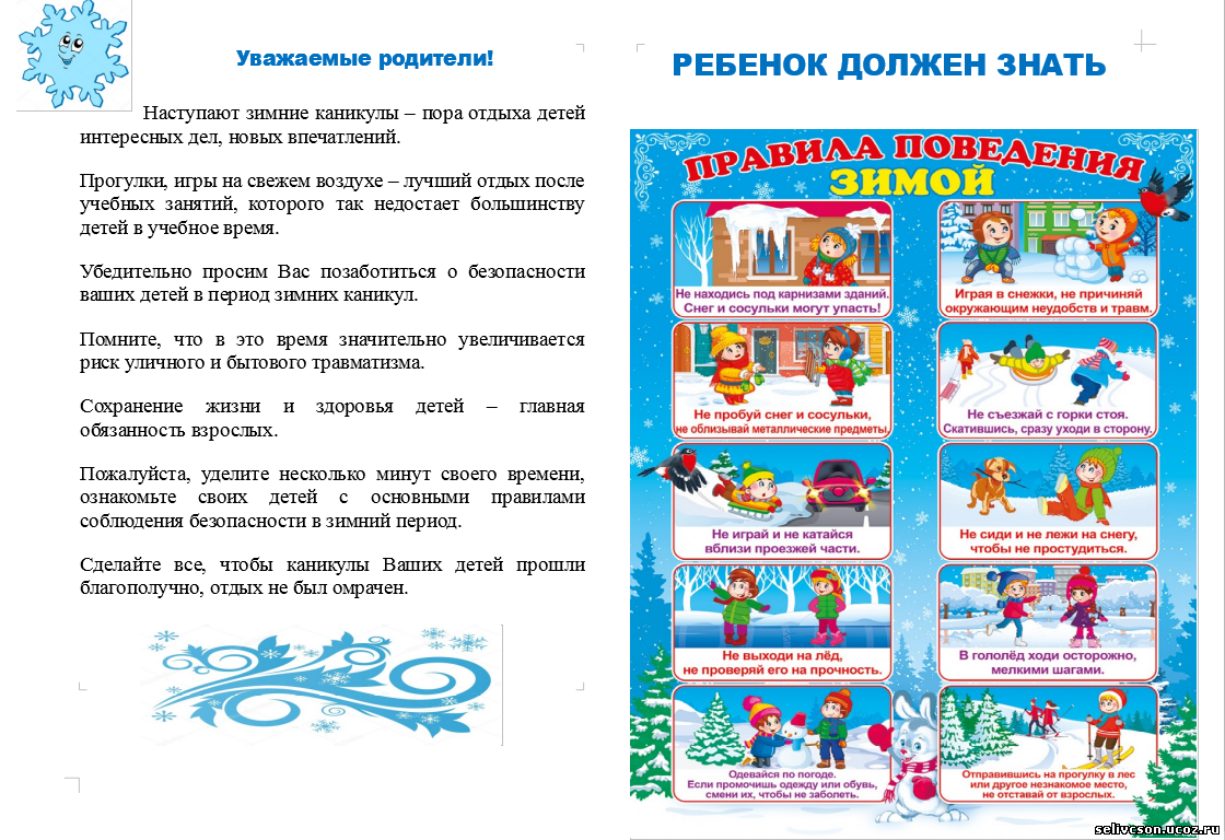 Изображения столовой.